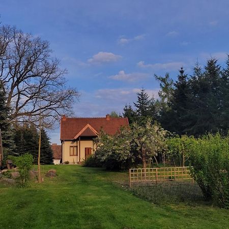 Dzikie Wino Villa Budry Exterior photo